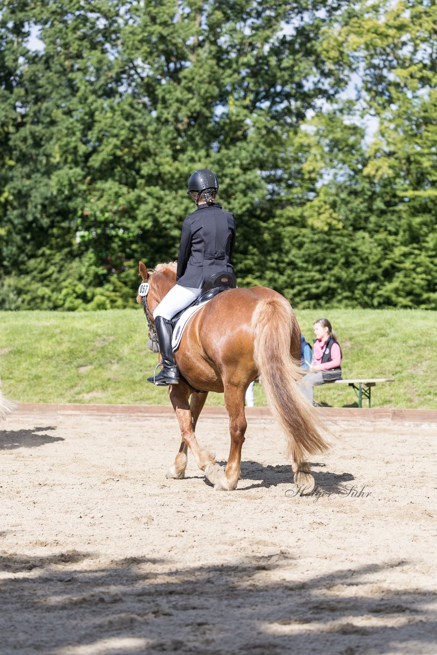 Bild 40 - Pony Akademie Turnier